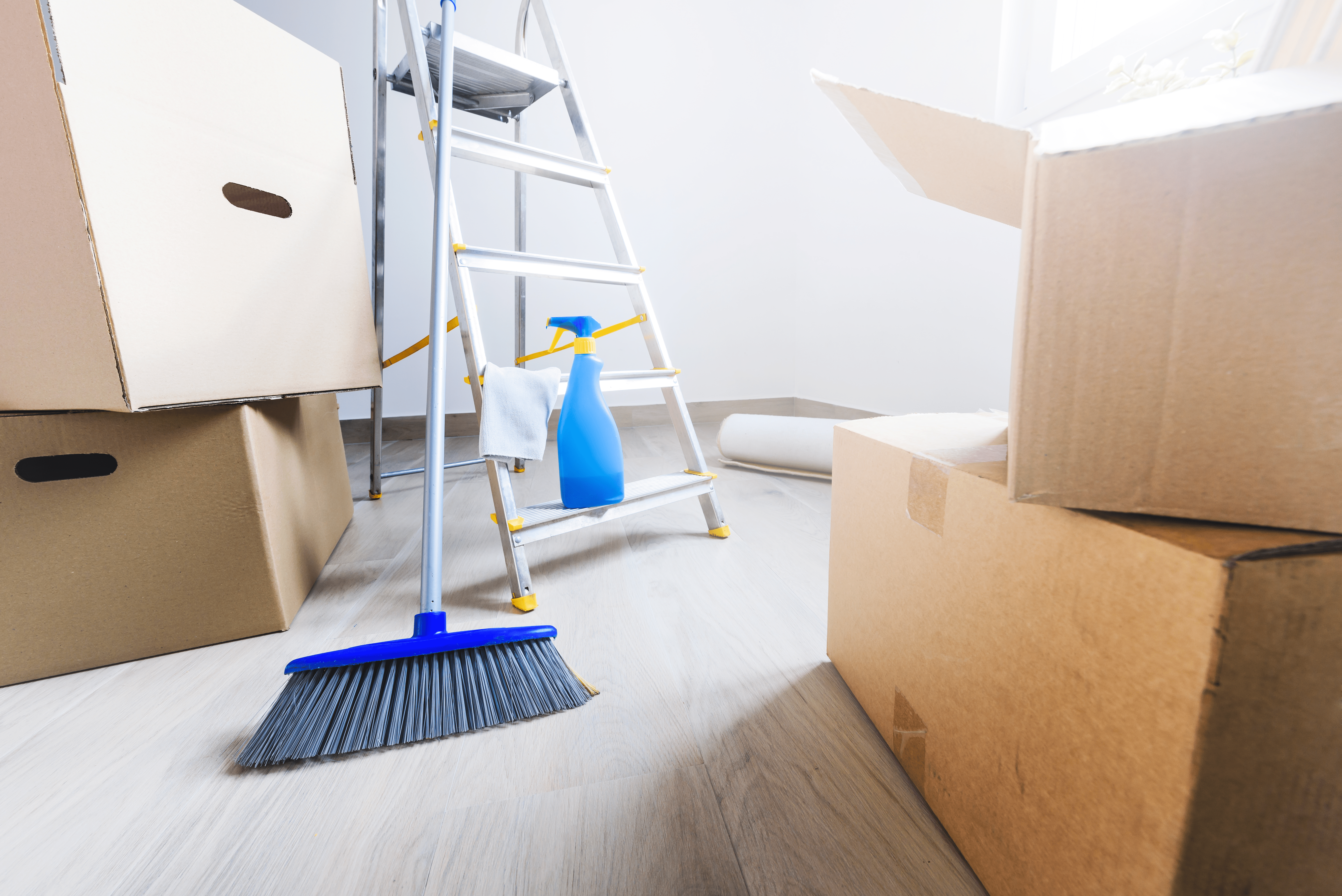 MOVE-IN CLEANING